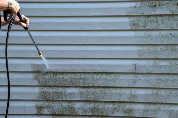 Best Engineered Wood Siding  in East Porterville, CA